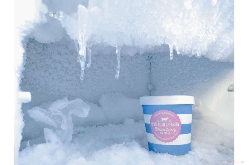 Freezer Burn: How Preventing Ice Recrystallization Protects Your Food
