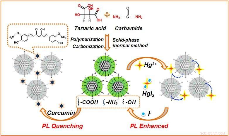 Nitrogen‑Doped Fluorescent Carbon Dots: A Powerful Tool Against Disease