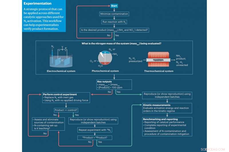 Scientists Outline Protocols for Efficient Nitrogen Activation via Reduction and Oxidation