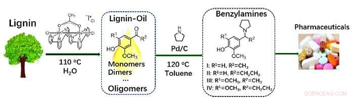 A Novel Catalytic Strategy for Sustainable Benzylamine Production from Lignin