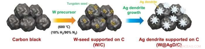 Korean Scientists Advance Artificial Photosynthesis Toward Carbon Neutrality