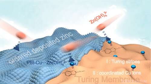 Enhancing Zinc‑Based Battery Performance with Turing Membrane Technology