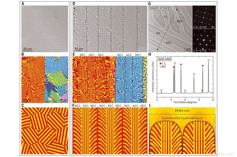 Dual-Phase Alloy Exhibits Exceptional Fracture Resistance