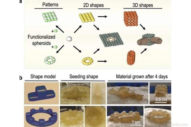 Self-Healing 3D Building Blocks: Imperial College Pioneers Living Materials
