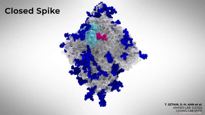Scientists Uncover Hidden Gate in SARS-CoV-2 That Enables COVID-19 Infection