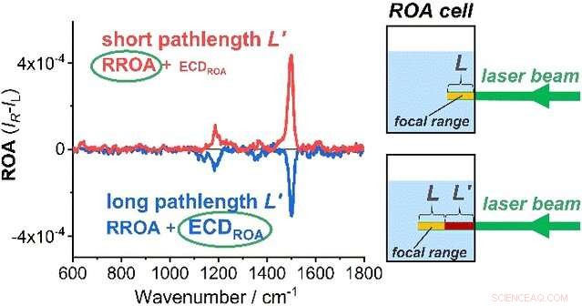 Interference Undermines Accuracy of Raman Spectroscopy in Vitamin B12 Analysis