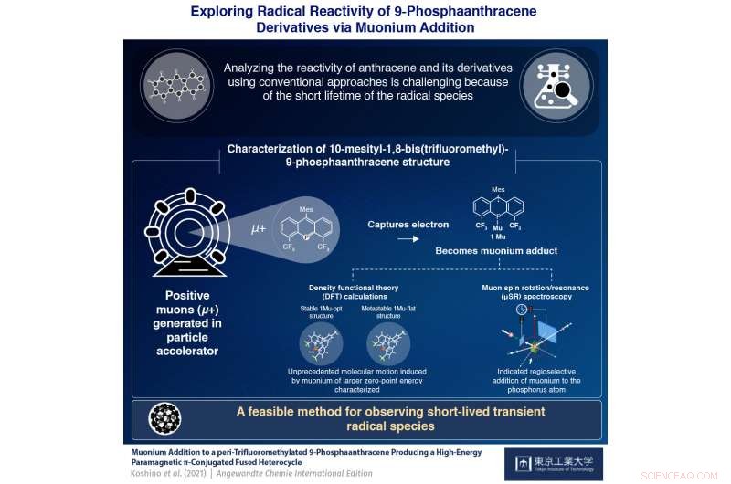 Dynamic Visualization of Substituted 9-Phosphaanthracene Molecular Motion