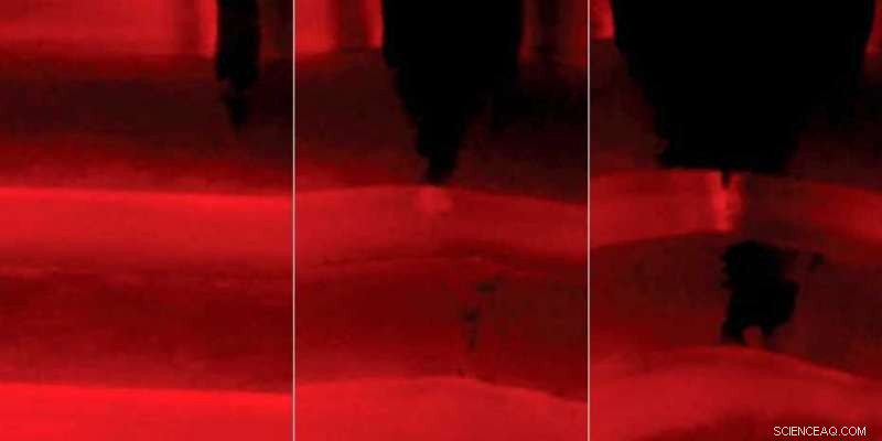 Color Change Signals Hidden Damage in ETH Zurich’s Advanced Laminate