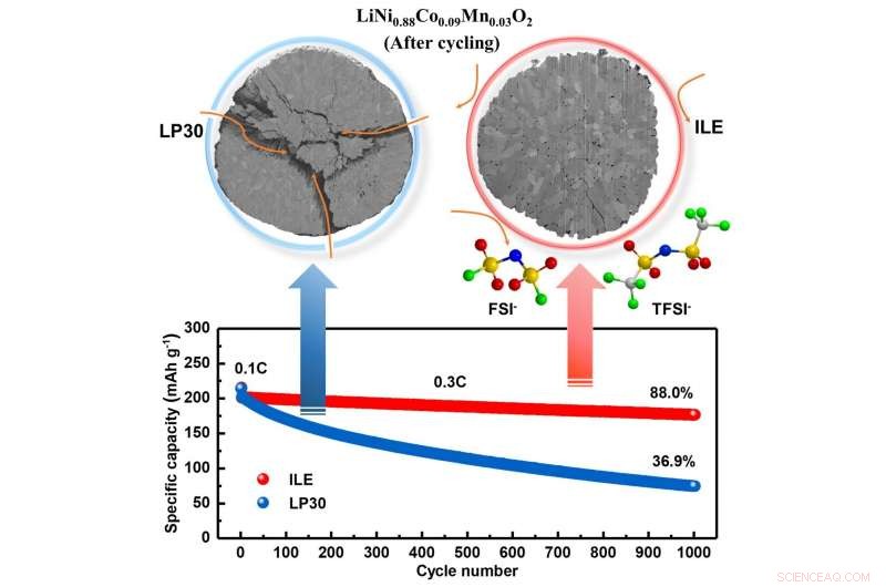 Record‑Breaking Lithium‑Metal Battery Achieved with Innovative Material Synergy