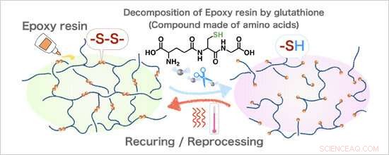Innovative Strategy to Promote Reuse of Carbon Fiber Reinforced Plastics