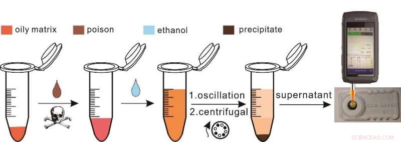 Ethanol-Extraction SERS Strategy Enables Ultra‑Sensitive Poison Detection in Oily Environments