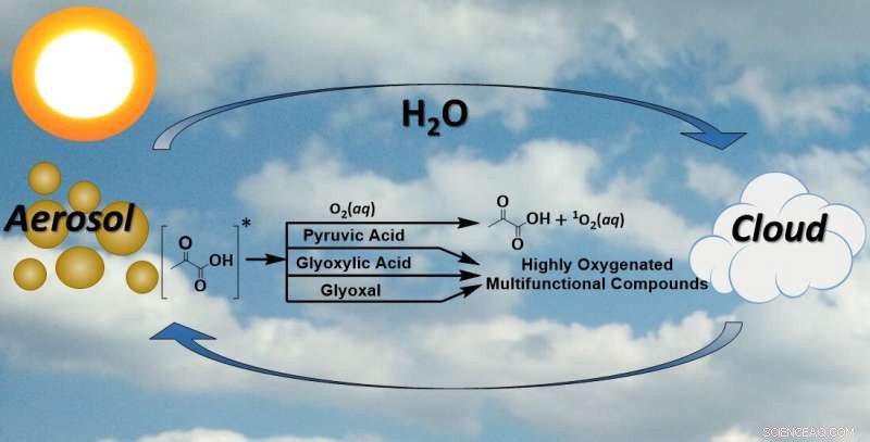 Organic 2‑Oxocarboxylic Acids Drive Radical and ROS Generation in Atmospheric Aerosols