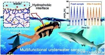 New Fully Hydrophobic Ionogel Enables Wearable Underwater Sensors and Communication