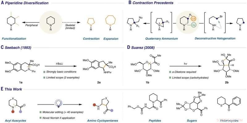 One-Pot Blue-Light Reaction Removes S, N, or O from Six-Membered Rings