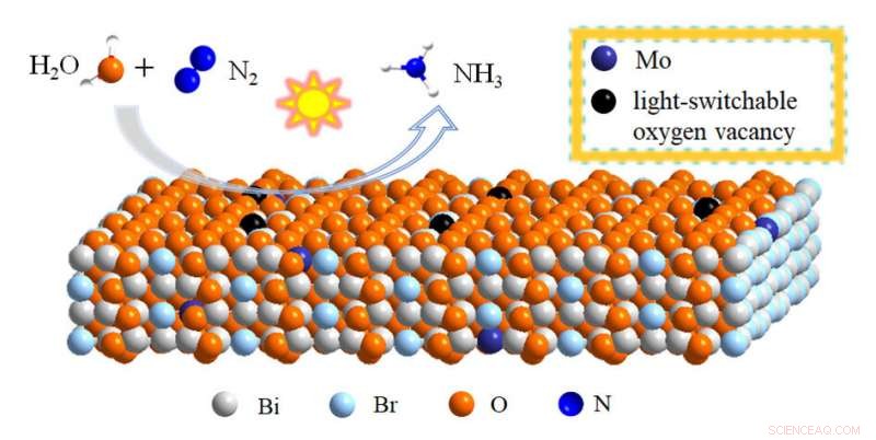 Boosting Ambient Ammonia Production with Light‑Responsive Oxygen Vacancy Nanosheets