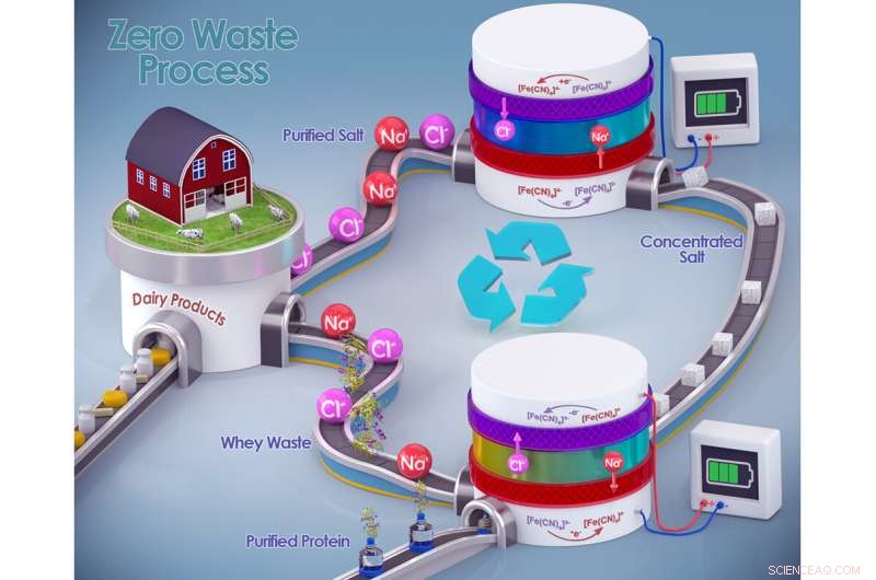 Reducing Salt, Boosting Protein: Tackling the Environmental Footprint of Dairy Processing