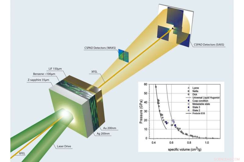 Shock-Induced Pathways for Synthesizing Complex Organic Molecules