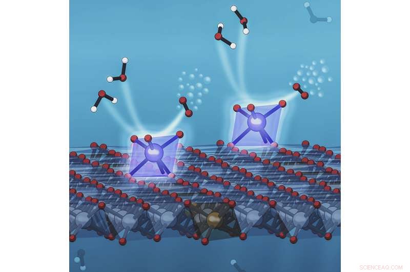 Breakthrough Single‑Atom Catalyst Boosts Water‑Splitting Efficiency to Record Levels