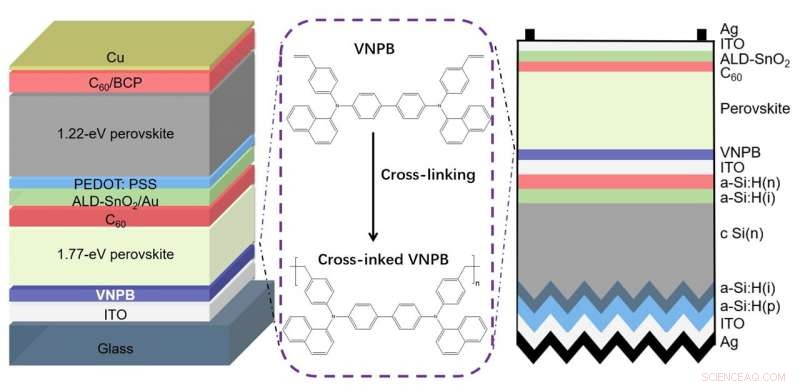 Cross‑Linked Hole Transport Layers Boost Efficiency in Perovskite Tandem Solar Cells