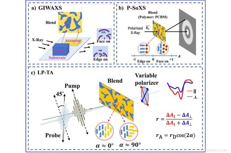Unveiling Molecular Orientation in Organic Solar Cells via Polarization‑Selective Transient Absorption Spectroscopy