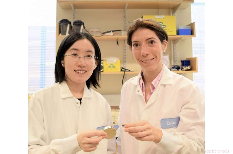 Living Sensors Unveil Secrets of the Human Gut