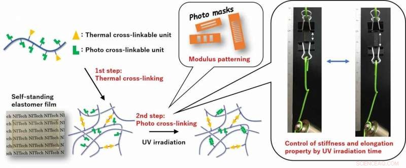 Creating Elastomer Films with Adjustable Elongation and Fracture for Diverse Applications