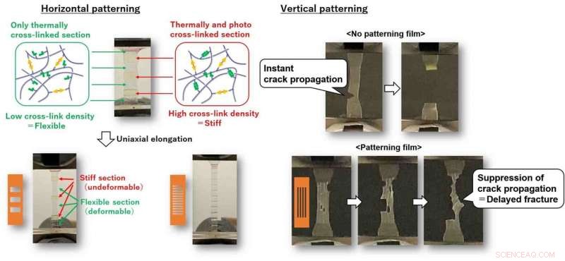 Creating Elastomer Films with Adjustable Elongation and Fracture for Diverse Applications