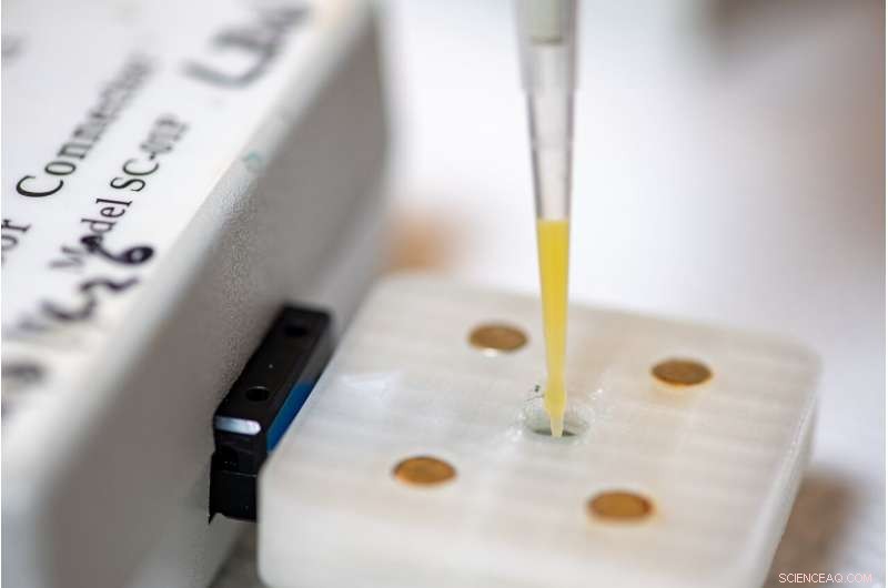 Innovative 3D‑Printed Sensor Accurately Detects Glyphosate in Beverages