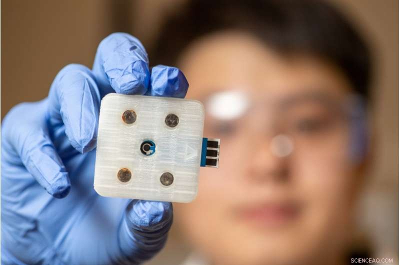 Innovative 3D‑Printed Sensor Accurately Detects Glyphosate in Beverages