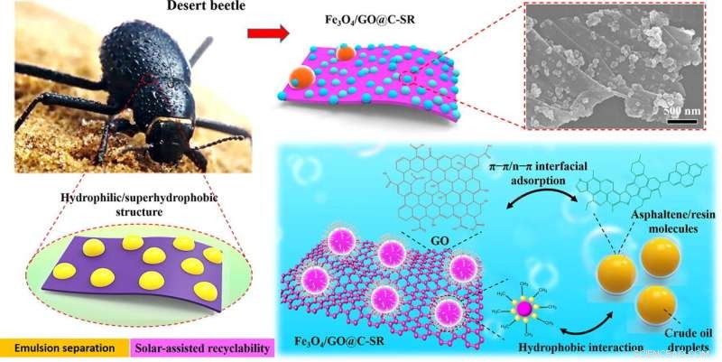 Desert Beetle-Inspired Magnetic Demulsifier Achieves Superior Oil-in-Water Separation