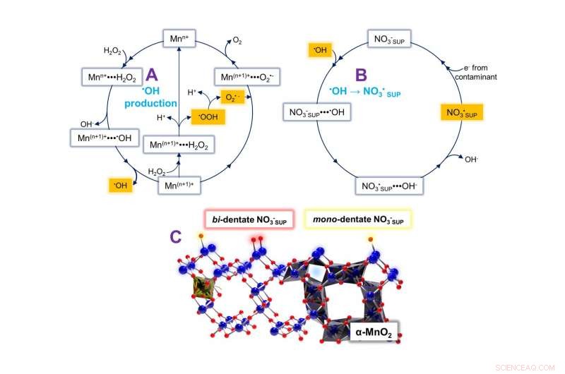 Advancing Air‑Pollution Control: Radicalized NOx Derivatives on Metal Oxide Supports