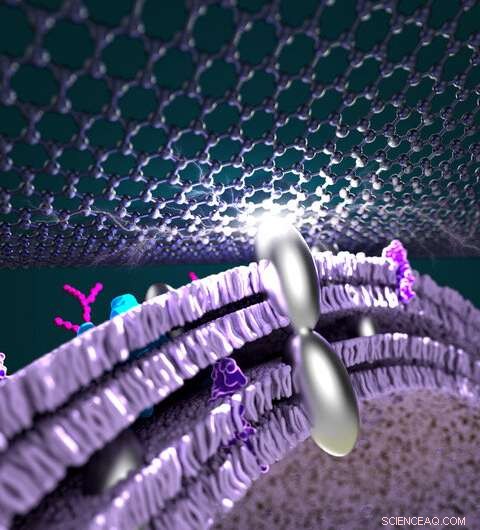UCLA Scientists Enhance Fuel Cell Efficiency by Infusing Bacteria with Silver Nanoparticles