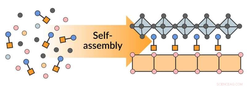 Simplified Self-Assembly of Complex Semiconductors Using 2D Materials