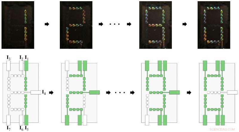 Developing a Smart Polymer Network for Real-Time Active Camouflage