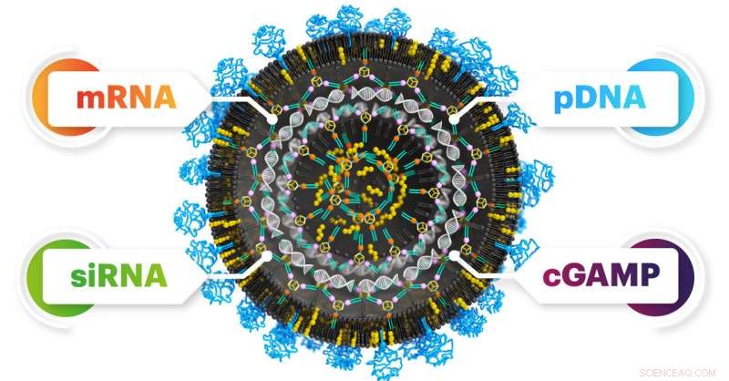 Revolutionary Universal Nanoparticle System Transports Nucleic Acids Into Cells