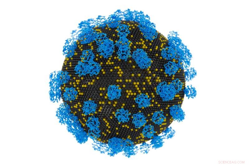 Revolutionary Universal Nanoparticle System Transports Nucleic Acids Into Cells