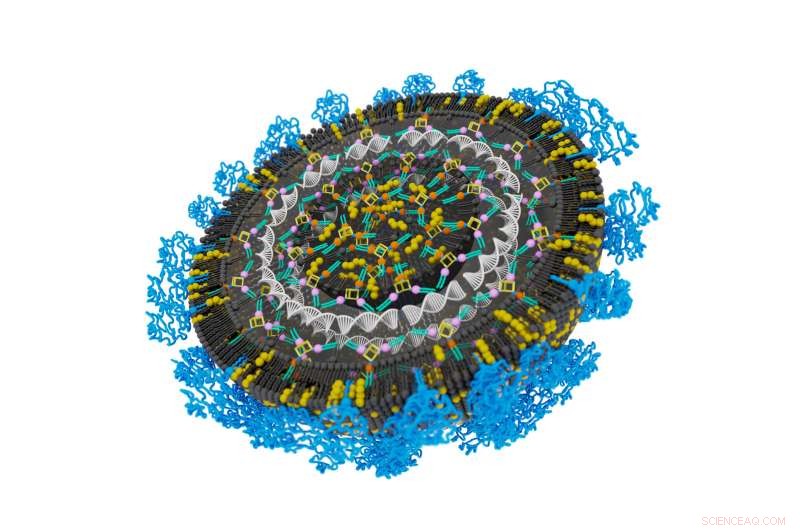 Revolutionary Universal Nanoparticle System Transports Nucleic Acids Into Cells