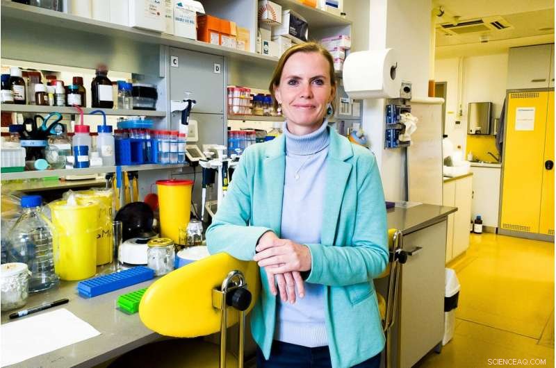 Revolutionary Universal Nanoparticle System Transports Nucleic Acids Into Cells