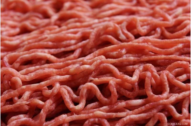 Eco-Friendly, Healthier Meat Alternative: Fermented Okara Innovation