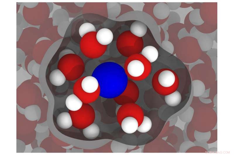 Advanced Simulations Promise Enhanced MRI Accuracy