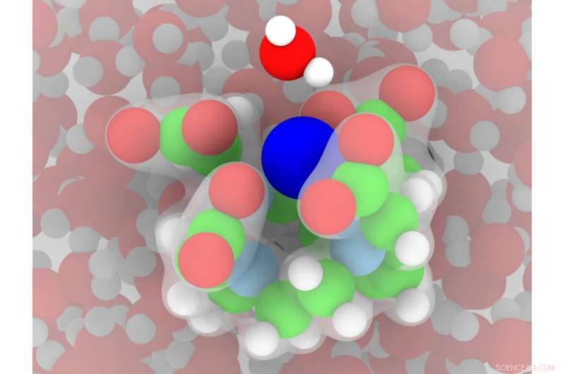 Advanced Simulations Promise Enhanced MRI Accuracy