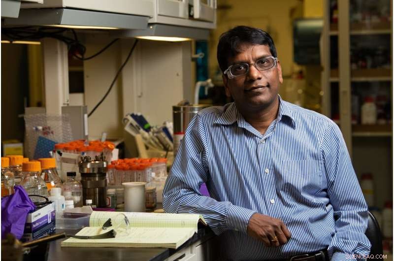 Preventing Power Shortages: Advanced Cooling Enhances Grid Efficiency