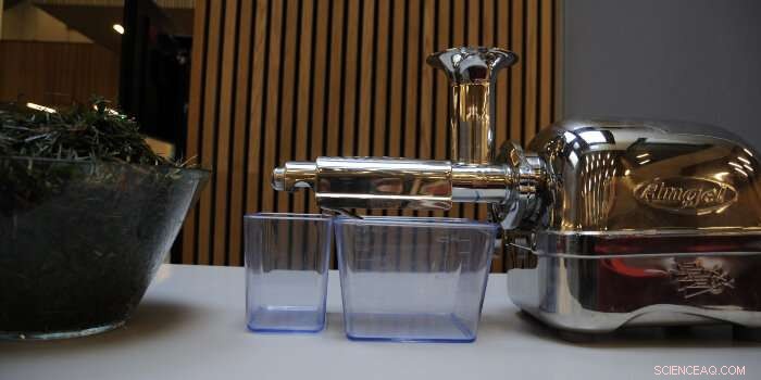 Pure Green Protein: No Dairy Off-Flavor