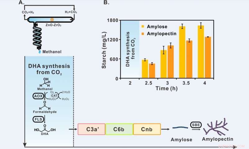 Pioneering CO₂-to-Starch Conversion: Chinese Scientists Demonstrate Artificial Starch Synthesis