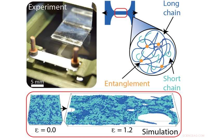 Load-Bearing Entanglements: Key to Polymer Glass Strength