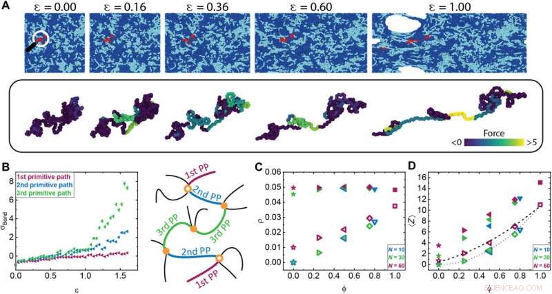 Load-Bearing Entanglements: Key to Polymer Glass Strength