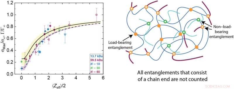 Load-Bearing Entanglements: Key to Polymer Glass Strength