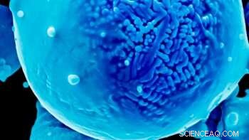 Optimizing Alloy Microchemistry for High-Performance Metal 3D Printing