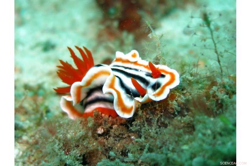 Advanced Analytical Method Enables Precise Detection of Subcellular Chemical Variations