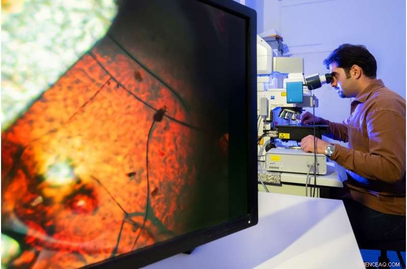 Revolutionary Glasses Created from Unmeltable MOF Compounds